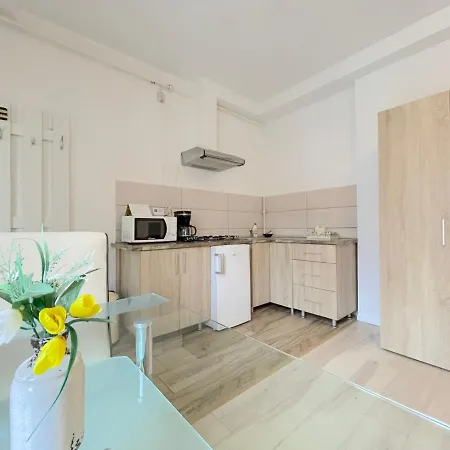 Livada Studio Apartments Brasov Exterior photo